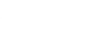 Logo von dgtldsgn in weiss